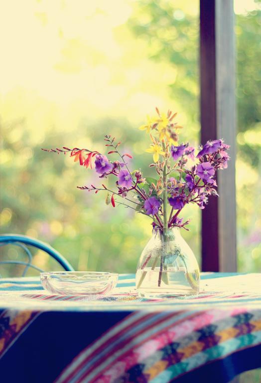 Pear Tree Cottage Stormsrivier Εξωτερικό φωτογραφία