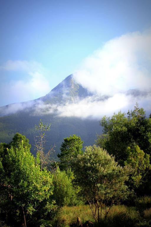 Pear Tree Cottage Stormsrivier Δωμάτιο φωτογραφία
