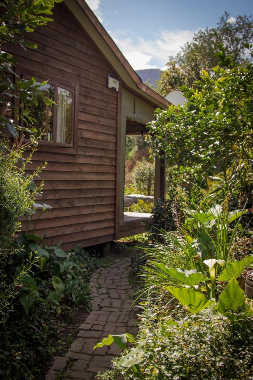 Pear Tree Cottage Stormsrivier Εξωτερικό φωτογραφία