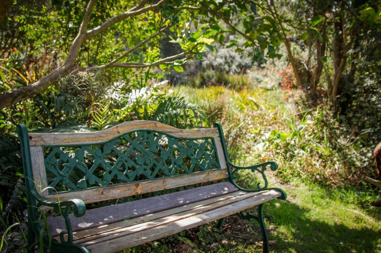 Pear Tree Cottage Stormsrivier Εξωτερικό φωτογραφία