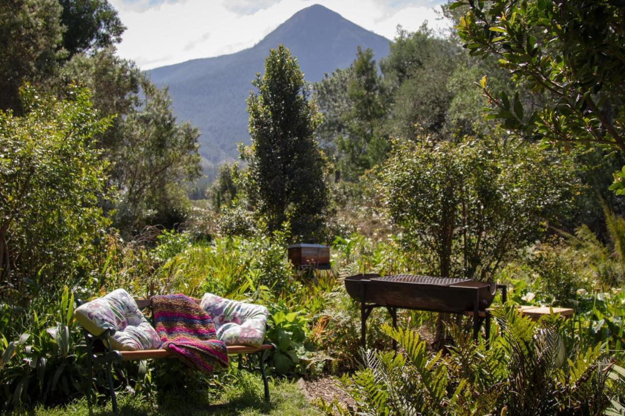 Pear Tree Cottage Stormsrivier Εξωτερικό φωτογραφία